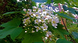 20130419_111913.jpg