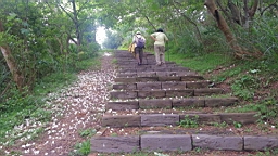 20130419_112030.jpg