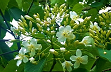 20130419_112545.jpg