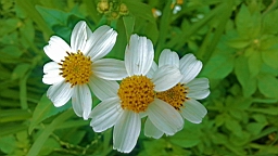 20130419_114127.jpg