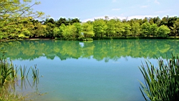 IMG_9305.JPG