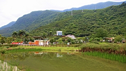IMG_9377.JPG