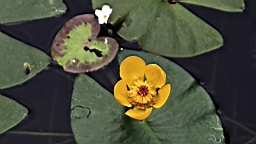 IMG_9379.JPG