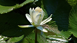 IMG_9473.JPG
