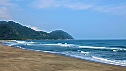 IMG_9487.JPG