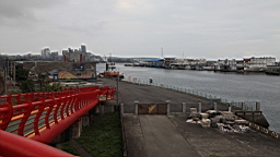 IMG_9587.JPG