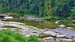 IMG_9591.JPG