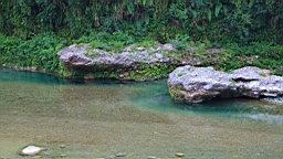 IMG_9595.JPG