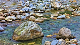 IMG_9598.JPG