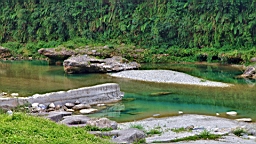 IMG_9607.JPG