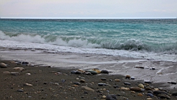 IMG_9619.JPG