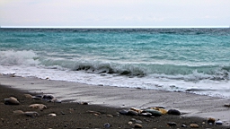 IMG_9620.JPG