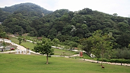 IMG_9635.JPG