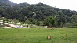 IMG_9639.JPG
