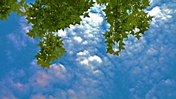 IMG_9653.JPG