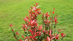 IMG_9655.JPG