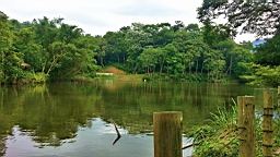 20130503_095820.jpg