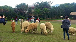 20130503_103918.jpg