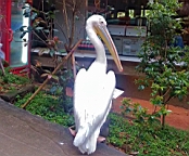 20130503_153234.jpg