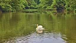 IMG_9663.JPG