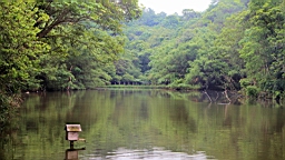 IMG_9667.JPG