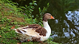 IMG_9669.JPG