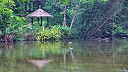 IMG_9670.JPG