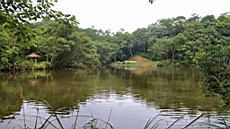 IMG_9674.JPG