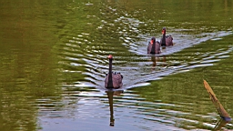 IMG_9675.JPG