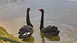 IMG_9684.JPG