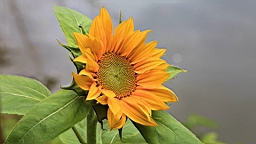 IMG_9687.JPG