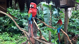 IMG_9689.JPG