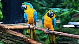 IMG_9695.JPG