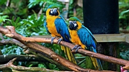 IMG_9696.JPG