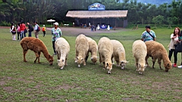 IMG_9700.JPG
