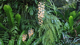 IMG_9713.JPG