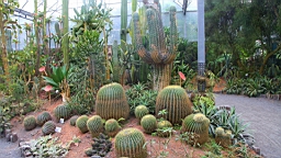 IMG_9722.JPG