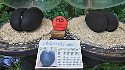 IMG_9733.JPG
