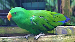 IMG_9736.JPG