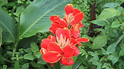 IMG_9745.JPG