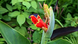 IMG_9746.JPG