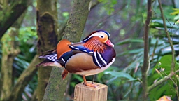 IMG_9752.JPG