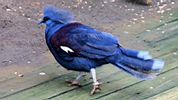 IMG_9754.JPG