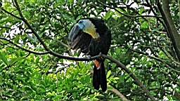 IMG_9757.JPG