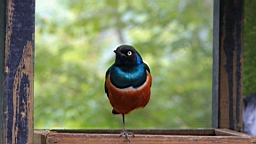 IMG_9769.JPG