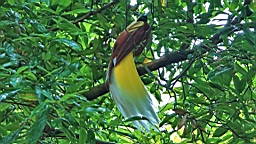 IMG_9770.JPG
