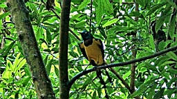 IMG_9771.JPG