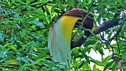 IMG_9772.JPG