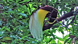 IMG_9773.JPG