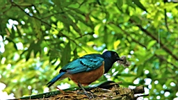IMG_9775.JPG